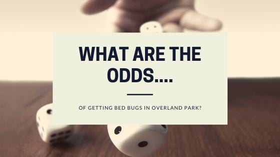 Odds of Getting Bed Bugs Overland Park, KS
