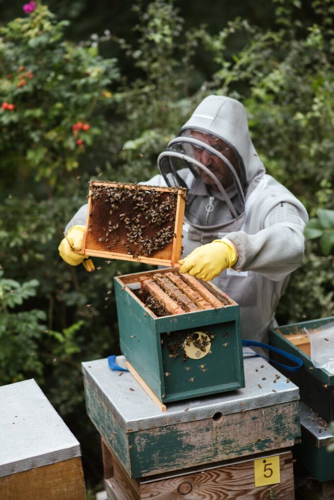 3 Diy Steps To Making Your Own Beekeeper Suit Mantis Pest Solutions - Diy Beekeeper
